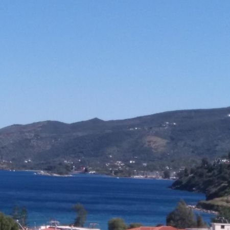 Forest & Sea Apartment Poros Town Exterior foto