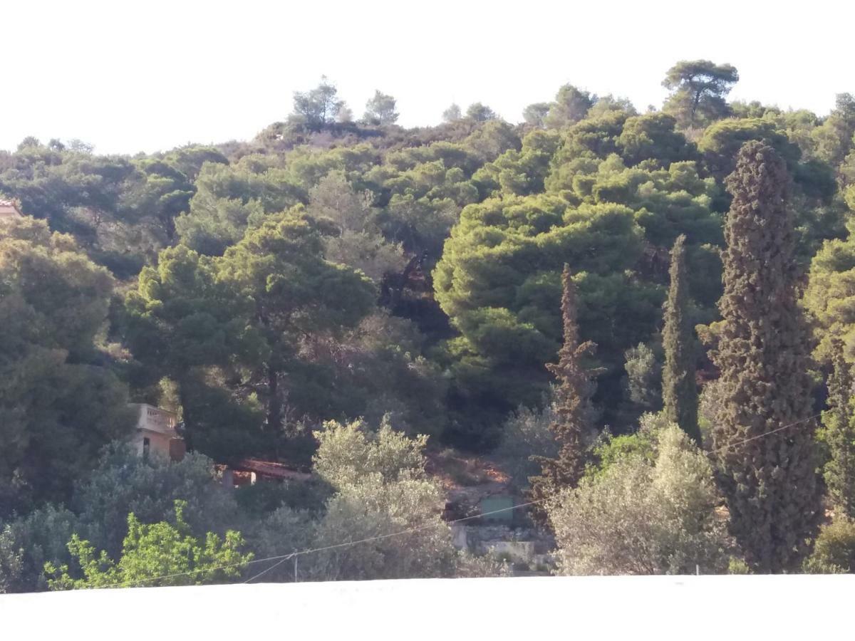 Forest & Sea Apartment Poros Town Exterior foto
