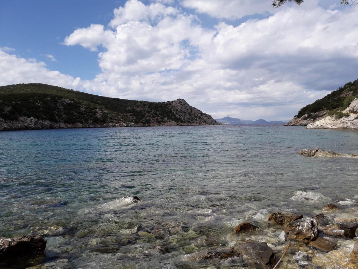 Forest & Sea Apartment Poros Town Exterior foto